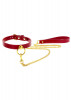 Taboom Bondage in Luxury Collar with leash - Bordeaux