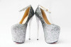 Sexy Shoes Silvery